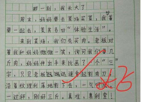那一刻我長大了作文400字作文