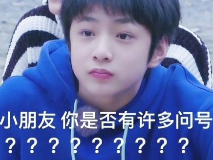 小朋友你是否有很多問號歌詞是什么意思